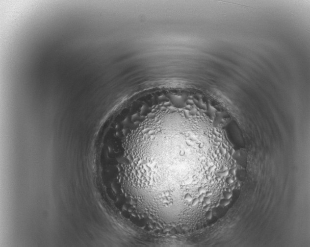 X0000068270347200605051821