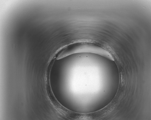 X0000068270348200605051821