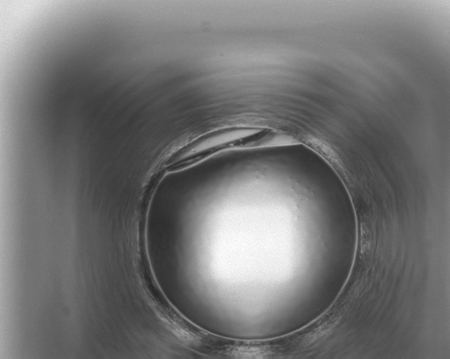 X0000068270349200605051821