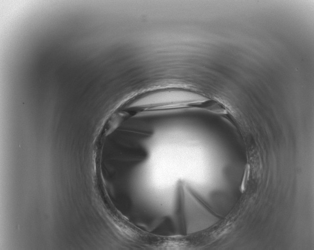 X0000068270350200605051821