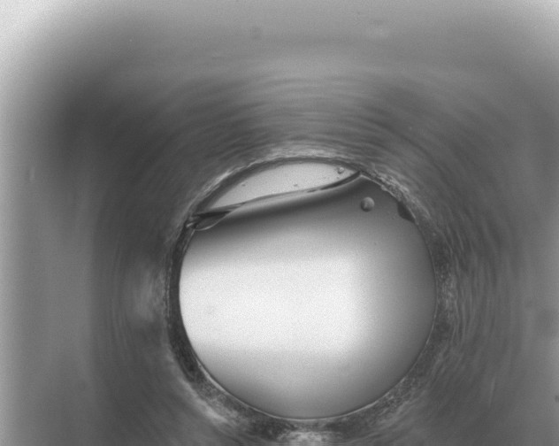 X0000068270352200605051821