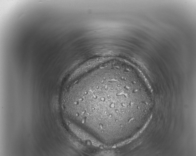 X0000068270353200605051821