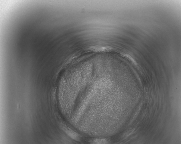 X0000068270357200605051821