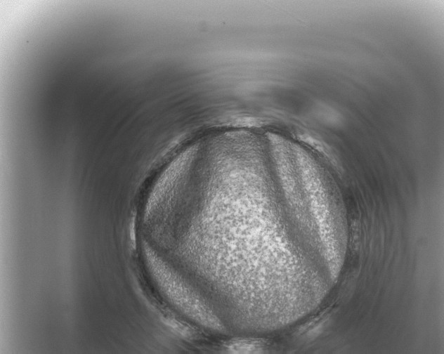 X0000068270358200605051821