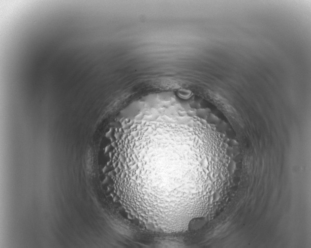 X0000068270359200605051821