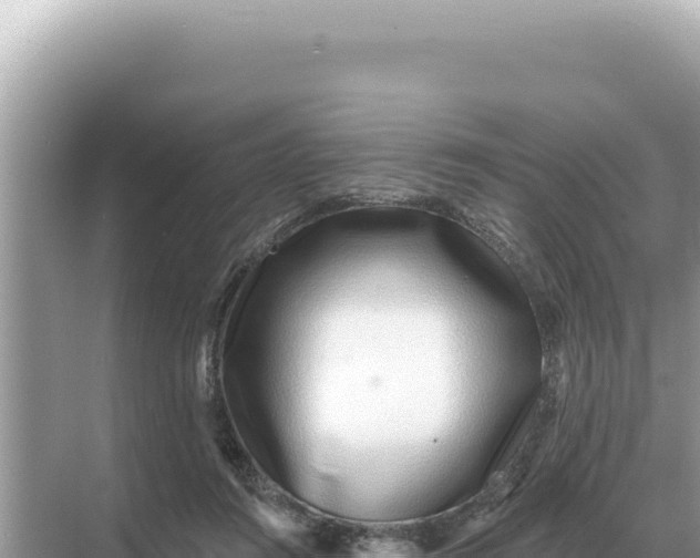 X0000068270360200605051821