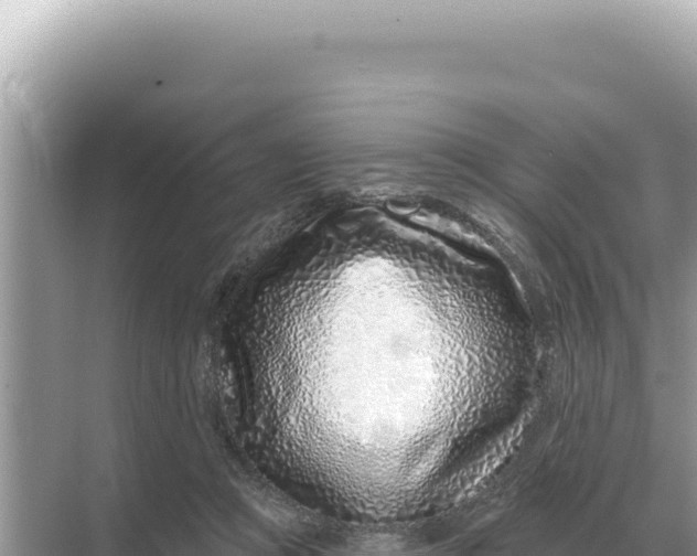 X0000068270361200605051821