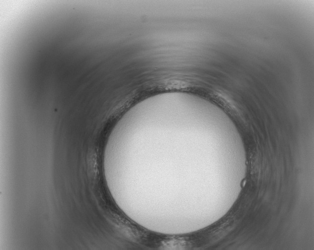 X0000068270362200605051821