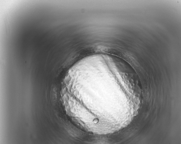 X0000068270363200605051821