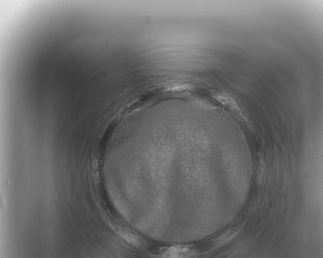 X0000068270366200605051821