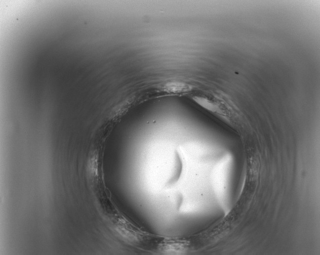 X0000068270368200605051821