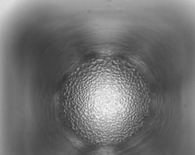 X0000068270369200605051821