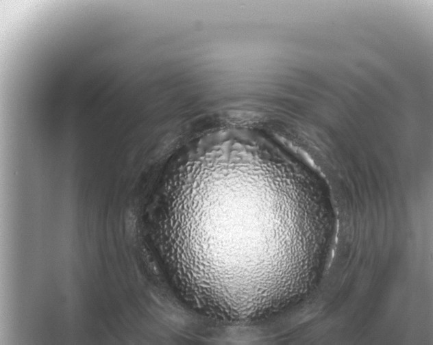 X0000068270371200605051821