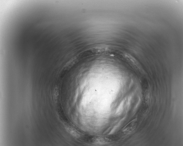 X0000068270372200605051821