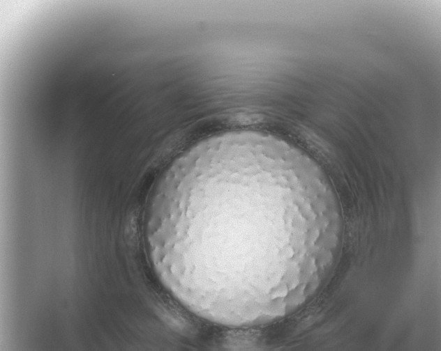 X0000068270373200605051821