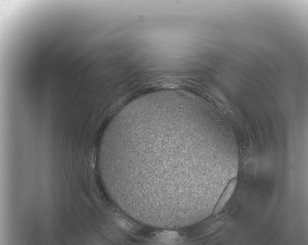 X0000068270374200605051821