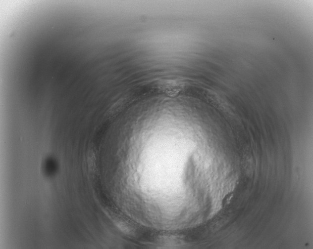 X0000068270375200605051821