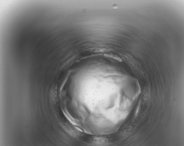 X0000068270376200605051821