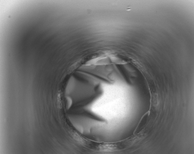 X0000068270378200605051821