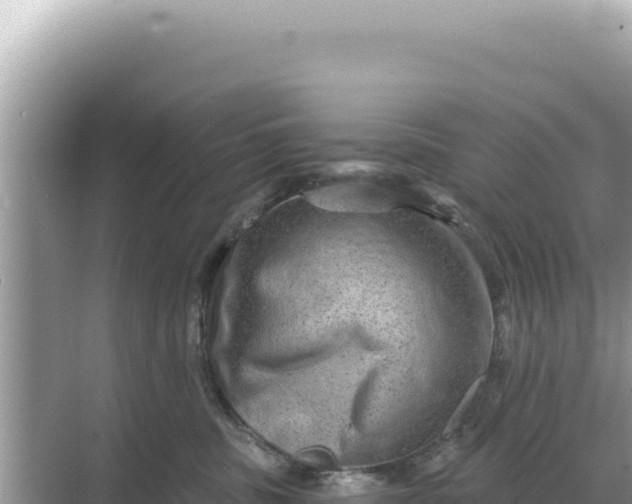 X0000068270379200605051821