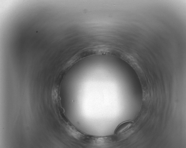 X0000068270382200605051821