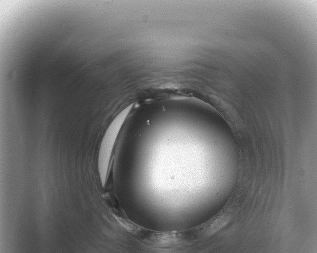 X0000068270384200605051821