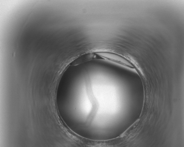 X0000068270385200605051820