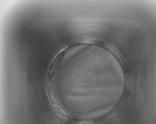 X0000068270386200605051820