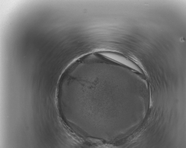 X0000068270387200605051820