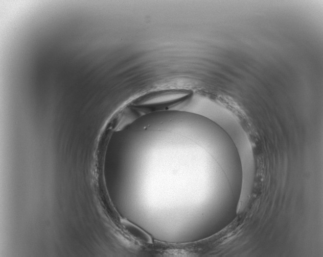 X0000068270392200605051820