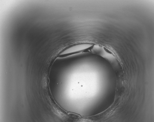 X0000068270393200605051820