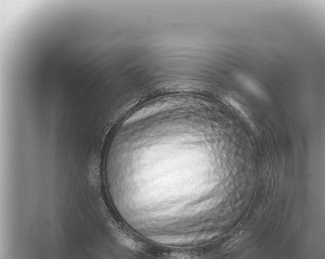 X0000068270394200605051820