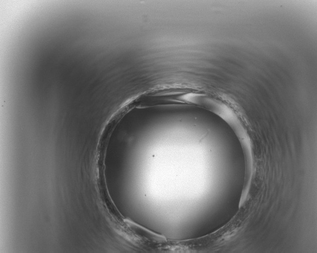 X0000068270395200605051820