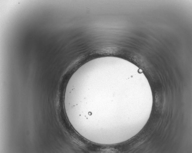 X0000068270396200605051820