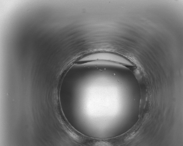 X0000068270397200605051820