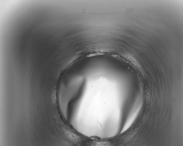 X0000068270401200605051820