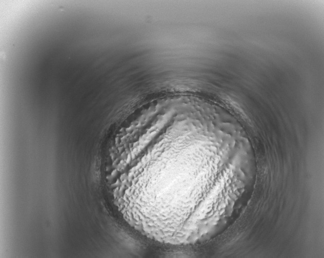 X0000068270402200605051820