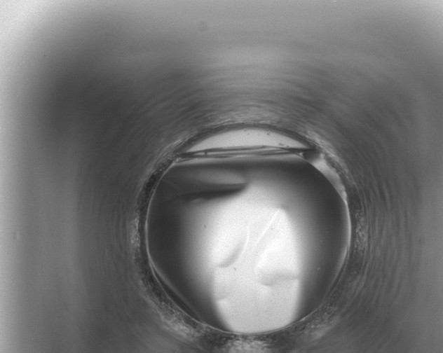 X0000068270403200605051820