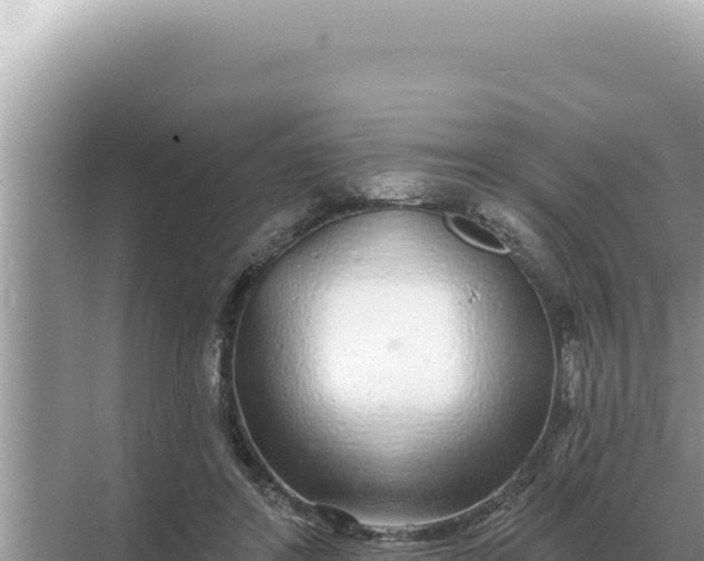 X0000068270404200605051820