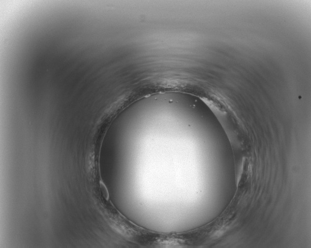 X0000068270407200605051820