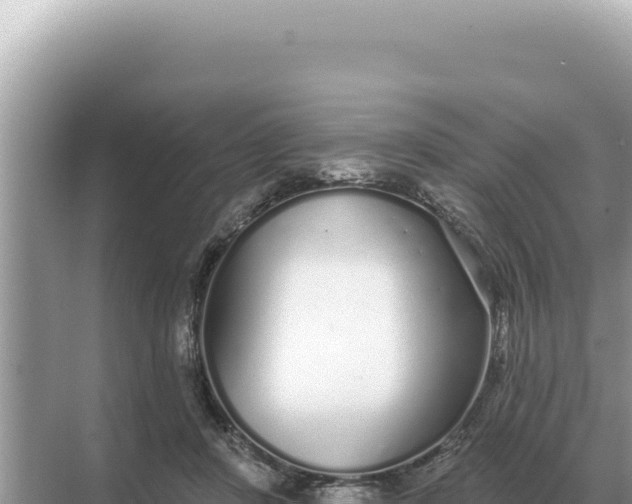 X0000068270408200605051820