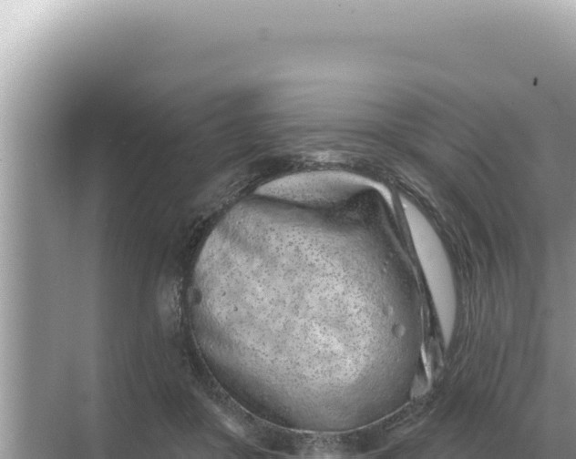 X0000068270410200605051820