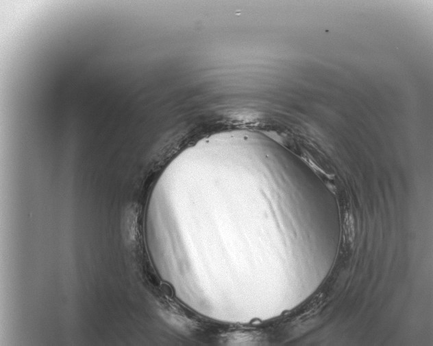 X0000068270412200605051820