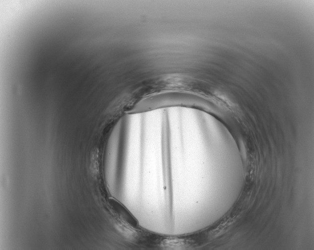 X0000068270413200605051820