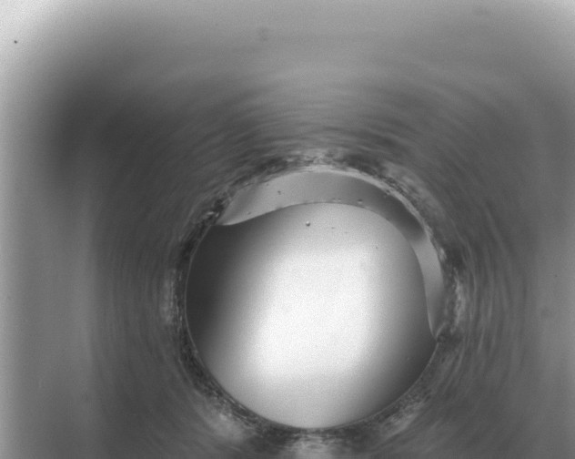 X0000068270416200605051820