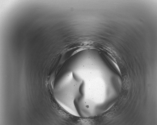 X0000068270417200605051820