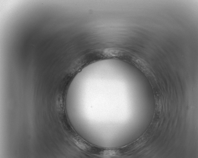 X0000068270418200605051820