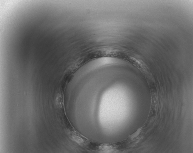 X0000068270419200605051820