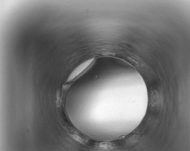 X0000068270420200605051820