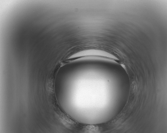 X0000068270421200605051820